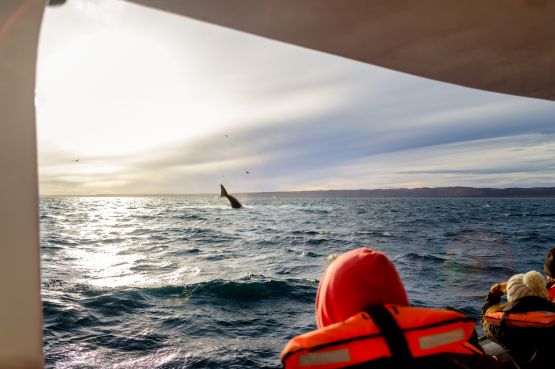 Excursion Puerto Madryn