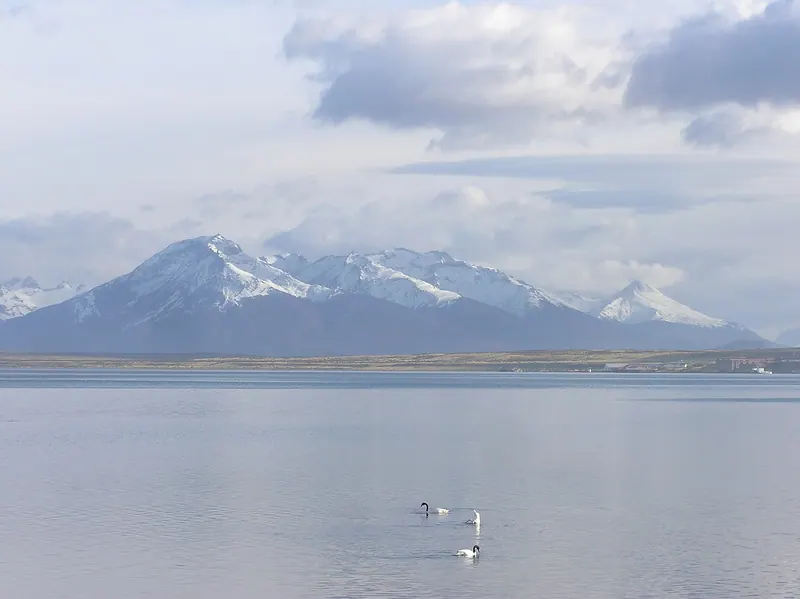 Llegada a Puerto Natales