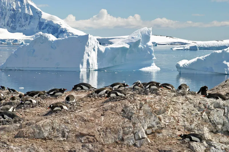 Isla Cuverville y Puerto Lockroy